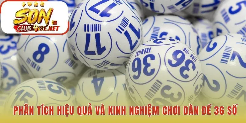Phân tích hiệu quả làm nổi bật ưu nhược điểm và kinh nghiệm