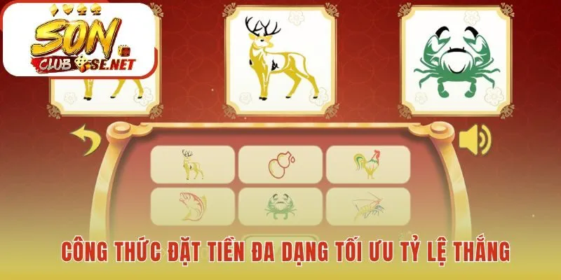 Những phương pháp đặt tiền kết hợp từ kinh nghiệm thực chiến