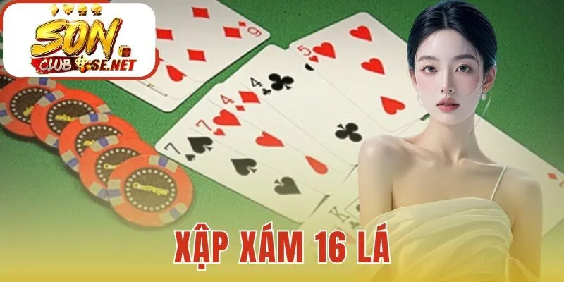 Xập Xám 16 Lá